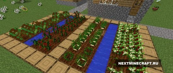 Hunger Overhaul [1.6.4] - Дополнение к HarvestCraft